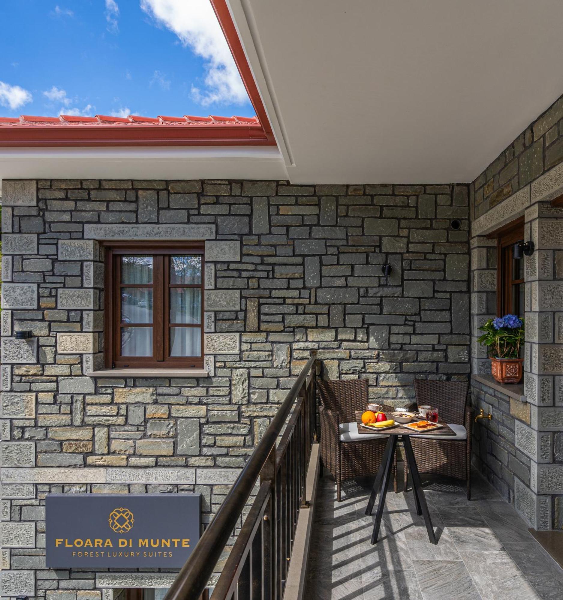 Floara Di Munte Forest Luxury Suites Metsovo Exterior foto