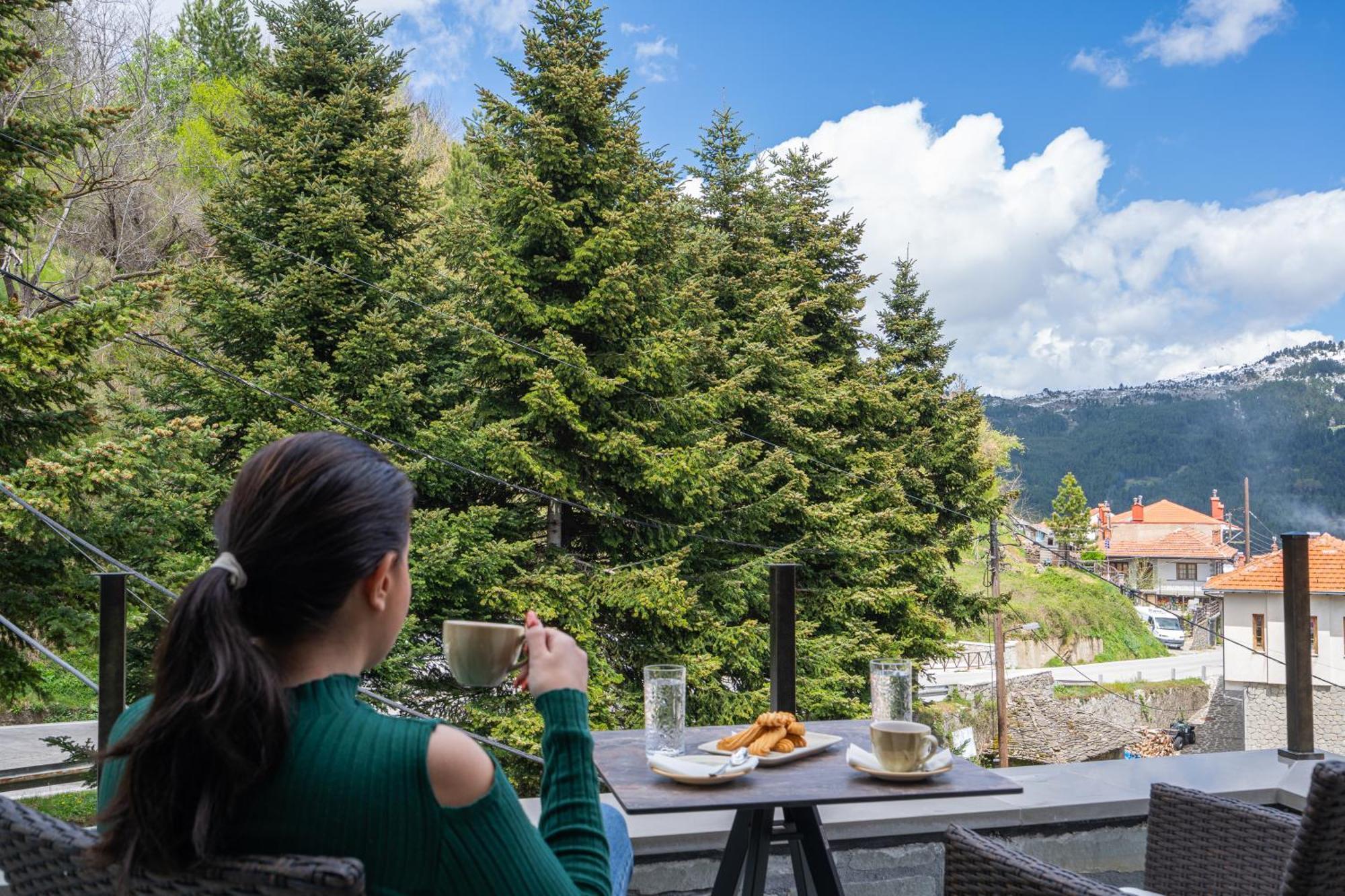 Floara Di Munte Forest Luxury Suites Metsovo Exterior foto